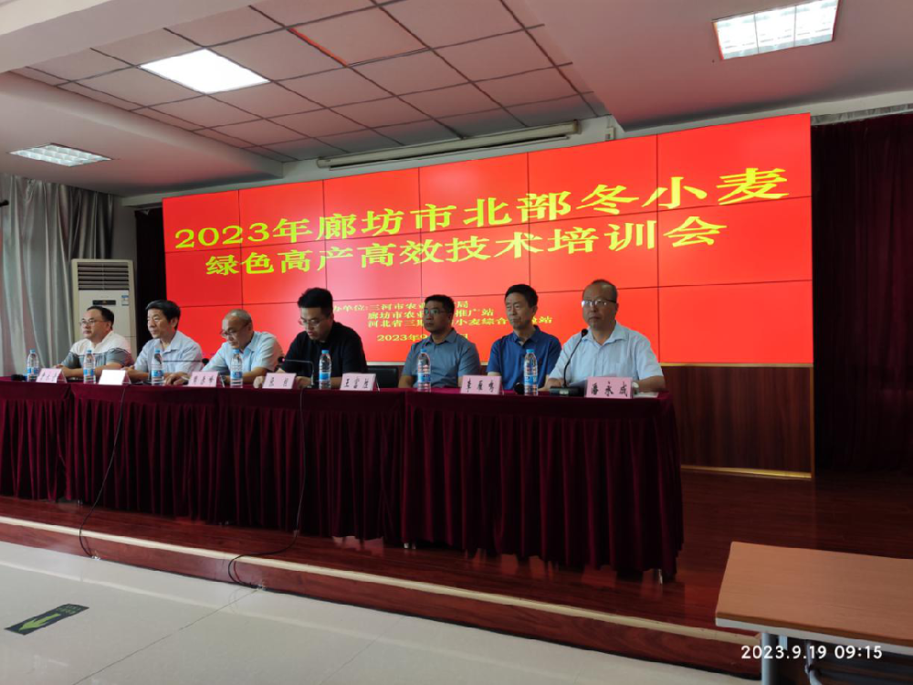 廊坊市召開北部冬小麥綠色高產(chǎn)高效技術(shù)培訓會